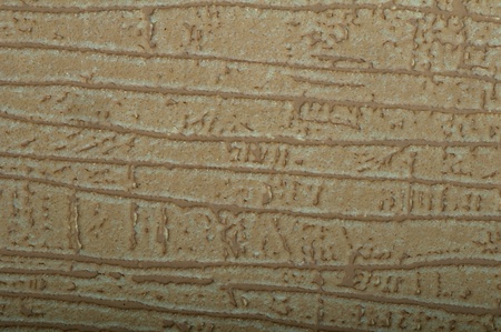 Brown wallpaper texture. Close up part of wallpaperの写真素材