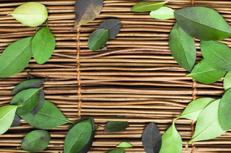 Wooden background and leafs. Border of leafs and copy spaceの写真素材