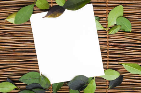 Wooden background and leafs. Border of leafs and copy spaceの写真素材