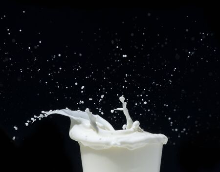 Splashing milk on black background. Splashes of milkの写真素材