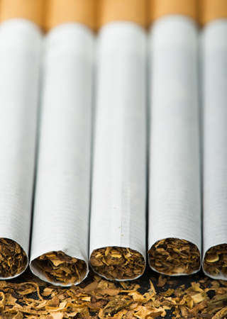 Arranged in a row cigarettes and scattered tabacoの写真素材
