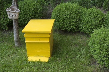 Yellow beehive located on the green lawnの写真素材