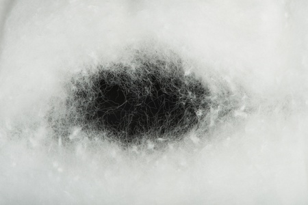 Cotton wool and hole. Torn pieceの写真素材