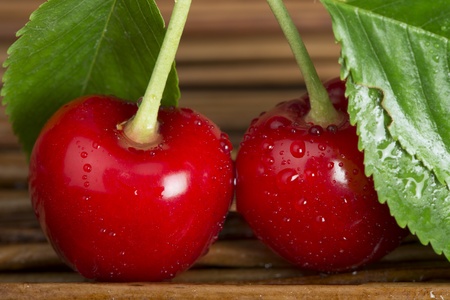 Two Cherries close up. Branch with leaves. Studio shotの写真素材