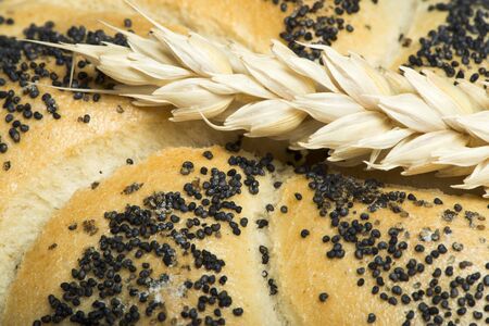 Close up Bread and wheat cereal crops. Studuo shot