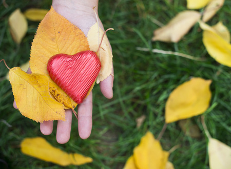 Hand holding Red wrapped heart and autumn leafs