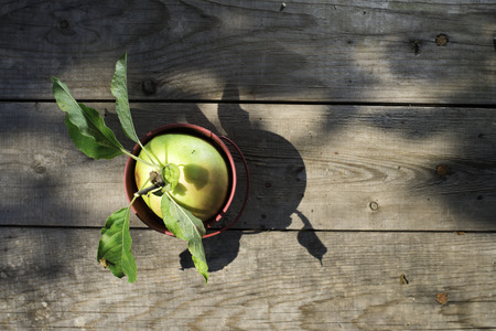 Apple and leaves on wood. Sun lightの写真素材