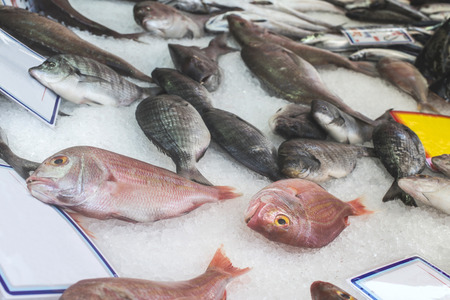 Fish on ice in the market. Greece, Athens, Piraeus