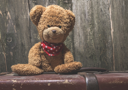 Vintage teddy Bear on woodの写真素材