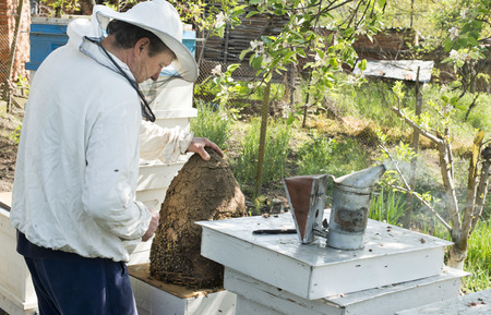 Beekeeper with honeycombs in hands. Bulgaria, Pleven