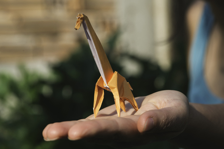 Origami orange color giraffe on hand.の写真素材