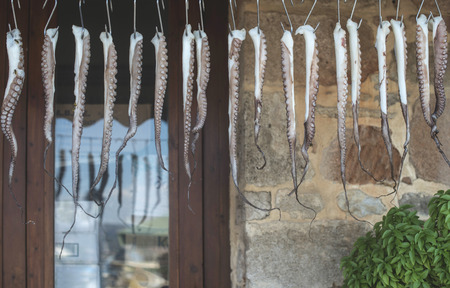 Octopus on rope in restaurantの写真素材