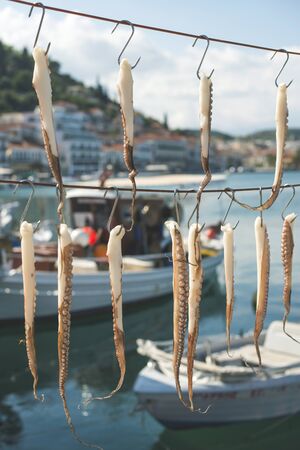 Octopus tied on rope and boatsの写真素材