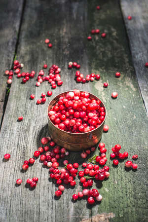 Cranberries in a bowl on woodの写真素材