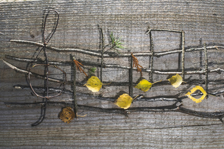 Musical notes conception. Wooden musical notes and leavesの写真素材