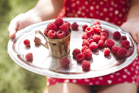 Woman in red dress holding a cup of raspberriesの写真素材
