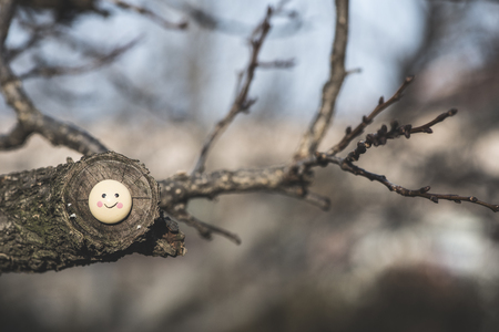 Smile icon miniature on tree twigの写真素材