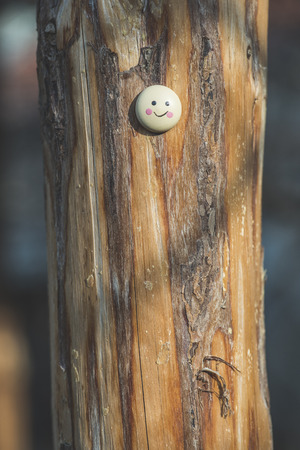 Smile icon miniature on tree twigの写真素材