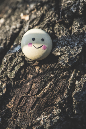 Smile icon miniature on tree twigの写真素材