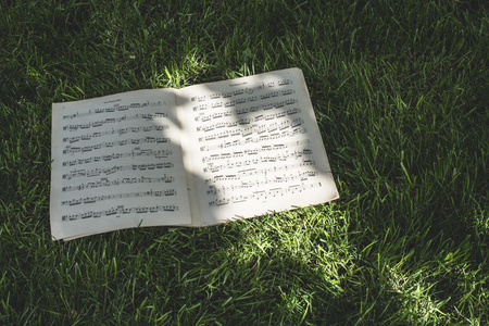 Music book on green meadow. Daylightの写真素材