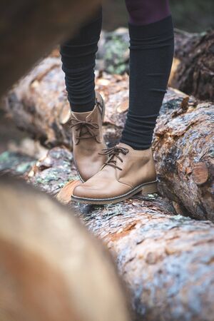Womens leather casual shoes on wood in the forest.の写真素材