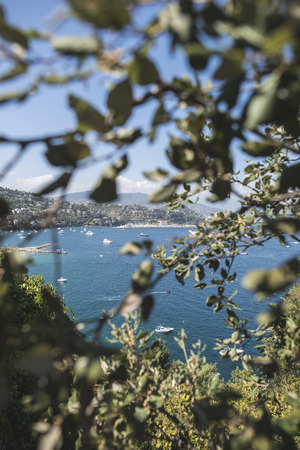 Yachts on the french riviera. View through the branches.の写真素材