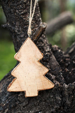 Christmas fir shape on branchの写真素材