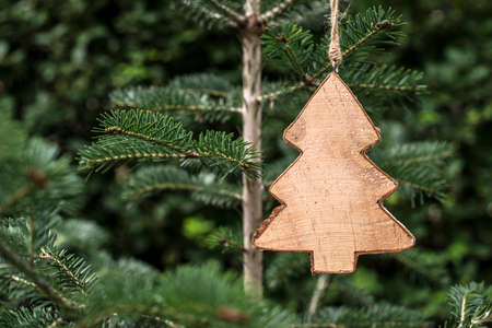 Christmas tree shape hooked on fir treeの写真素材
