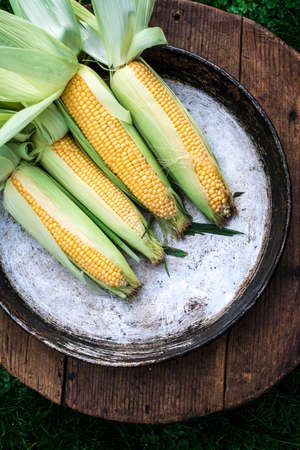 Raw corn in the garden on wooden backgroundの写真素材