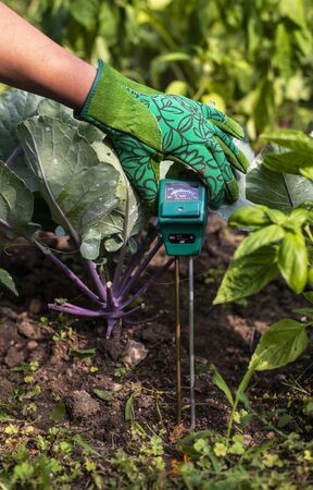 Moisture meter tester in soil. Measure soil for humidity, nitrogen and HP with digital device. Woman...