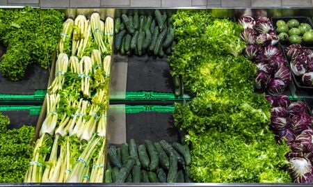 Vegetables on shelf in supermarket.  Fennel, cucumbers, lettuce and radicchio.