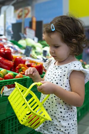 Little girl buying tomatoes in supermarket. Child hold small basket in supermarket and select vegetables. Concept for healthy eating for children.の写真素材