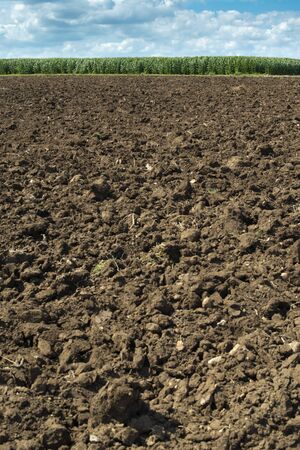 Plowed soil and plantations with corn in the background. Agriculture corn farm.の写真素材