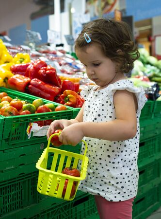 Little girl buying tomatoes in supermarket. Child hold small basket in supermarket and select vegetables. Concept for healthy eating for children.の写真素材