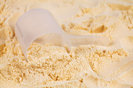 A scoop of vanilla whey isolate protein の写真素材