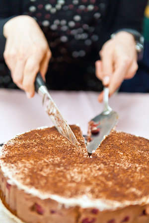 Girl cutting a slice from the cherry and chocolate cakeの写真素材