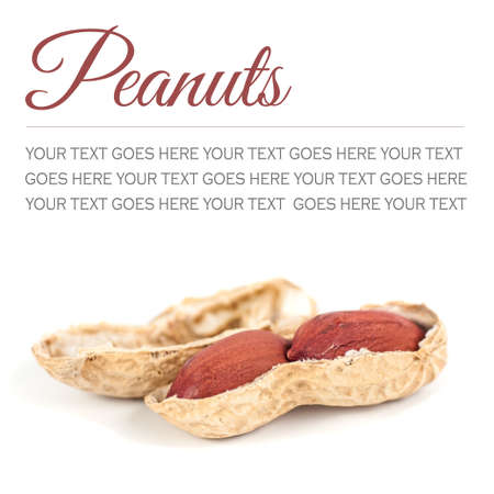 Macro of an opened peanut isolated on white background, with text standing in for copy space 
