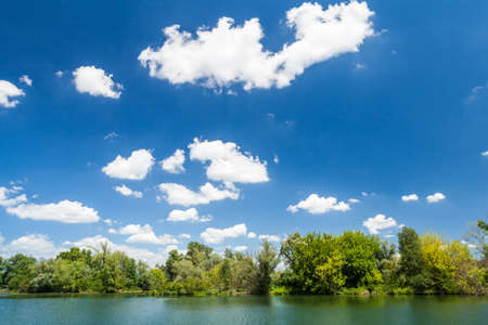 Green trees by the lake on a sunny day, with clouds on the skyの写真素材