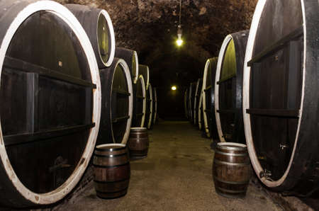 Old wine cellar in Ilok, Croatia, with old oak barrels on display; a must see tourist attraction in...