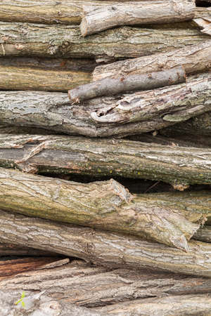 Pile of logs of firewood
