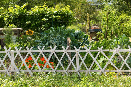 Wooden picket fence in the garden
の写真素材