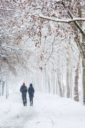 Couple walking during heavy snowstorm on the alley under the treesの写真素材