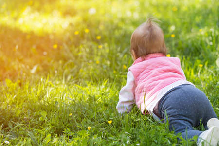 One year old baby crawling in the grass facing away from the cameraの写真素材