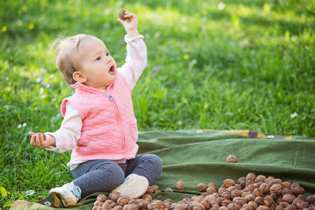 One year old baby sitting on the pile of walnuts and hazelnuts drying in the sun, on a lawnの写真素材