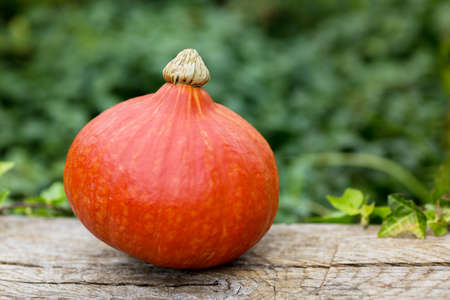 Orange pumpkin on wooden table, Halloween decorationの写真素材
