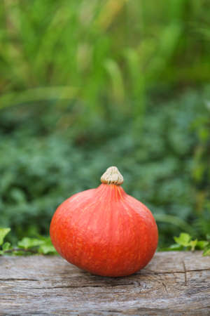 Orange pumpkin on wooden table, Halloween decorationの写真素材