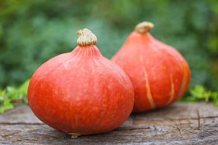 Orange pumpkins on wooden table, Halloween decorationの写真素材
