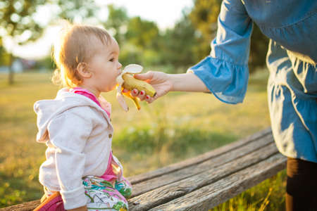 Fifteen months old baby girl eathing the banana from her mother's hand; backlit, in the sunsetの写真素材