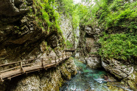 Vintgar gorge, beauty of nature, with river Radovna flowing through it, near Bled, Sloveniaの写真素材