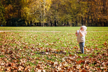 One and a half year old baby girl standing in the meadow covered with fallen leaves, drinking water from the bottleの写真素材
